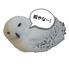 KYON_20190828182205