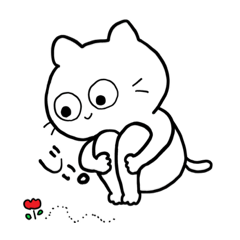 shirocat chan