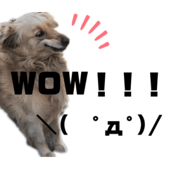 ay_20190828201052