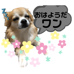 ERIRINsaku
