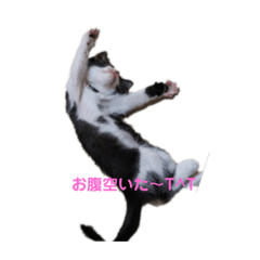 miyo_20190828231931