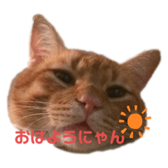 MAYUMI_20190828233829