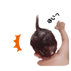 porico_20190829000249