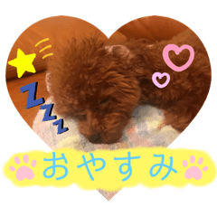 cocoa@chan