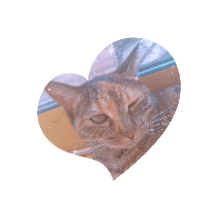 Hannah_20190829084813