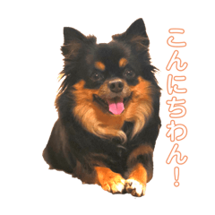 akari_20190829092354