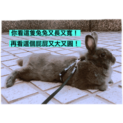 MAO_20190828110914