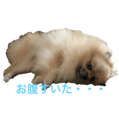 chan_20190829031212