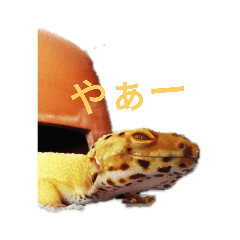 yuta_20190829132636