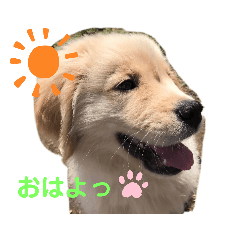 eve_20190829155344