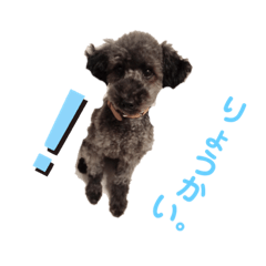 KYOKO_20190829153752