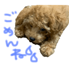 Chihiro_20190829123333
