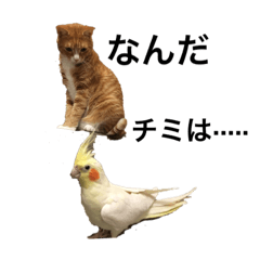 dai_20190828201100