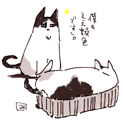 『しつじさんちの猫』