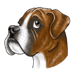 大型犬 大集合 Line スタンプ Line Store