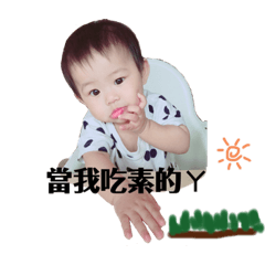 小飯糰 YING FEI 2.0