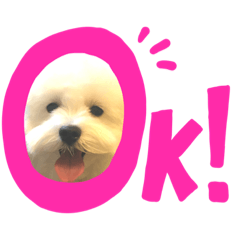 ぴこちゃん♡はーちゃん