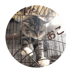 rrmm888_20190829173732