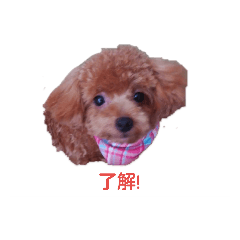 junko_20190829202954