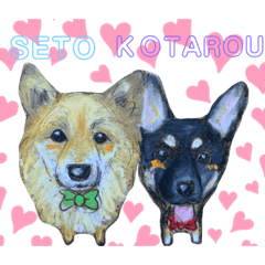 seto.kota