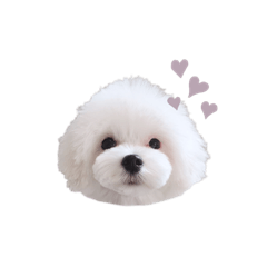 omame_201908292220161
