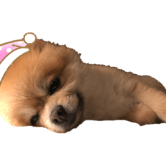 ayumi_20190829232301