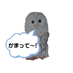 KYON_20190829182359
