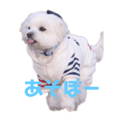 MIWA_20190829225836