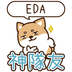 柴語錄 姓名_神隊友1904 EDA