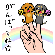 Doll Dachshunds