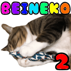 BEINEKOS 2