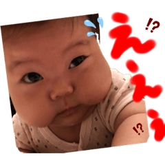 panda_20190830002037