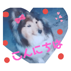 ponta_20190830120301