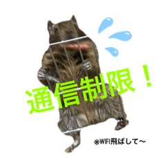 Hinarin_20190830054334