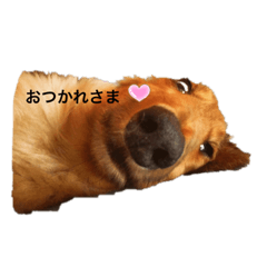 I love yuzu.
