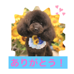 Michiko_20190830110743
