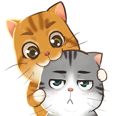 Tao-Tao & Jao-Due Stubborn Cats