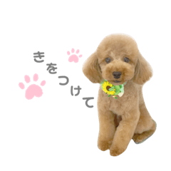 mik_20190830130008