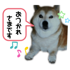 erika_20190830135734