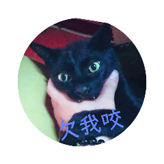 黑仔仔        &Amy