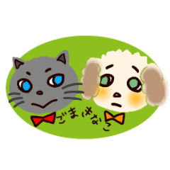 cat Goma and dog Kinako