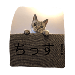 Ton_20190830151038