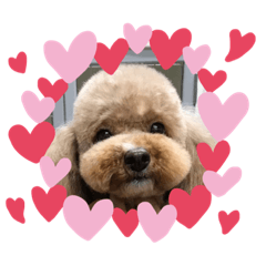 moka_20190830162051