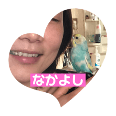 mako_20190830155934