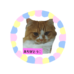 Emily_20190830173641