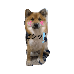 hana_20190830184454