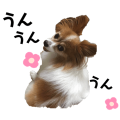 sally_20190830190917