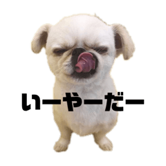otateishi