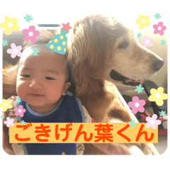 sayuri_20190830201148