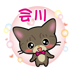 aikawa's name sticker brown tabby cat